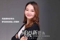 5分钟科普!益阳最大的公司_哔哩哔哩-2